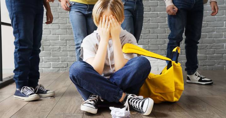 Cambian las escuelas para siempre: habrá multas de $ 2.000.000 a los padres de hijos que hacen bullying