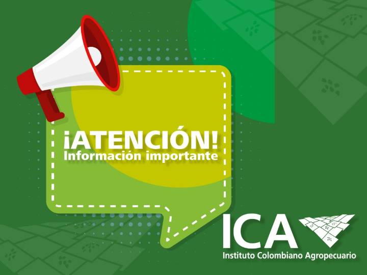 El ICA declara emergencia nacional por presencia de influenza aviar de alta patogenicidad en predios de traspatio