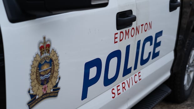 Pedestrian killed while walking dog marks Edmonton's 30th traffic fatality of 2025: police