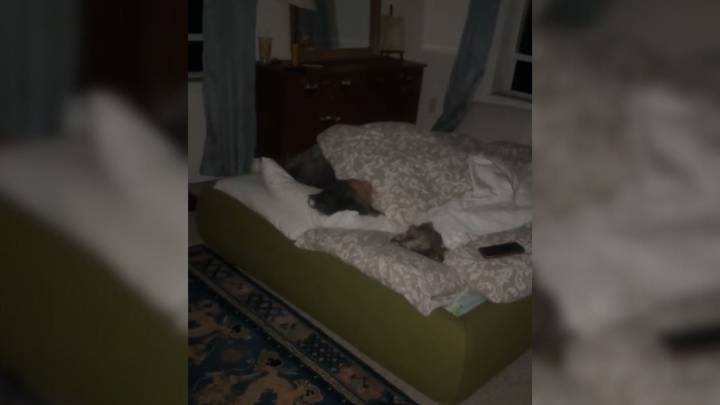 Florida Couple’s Bedtime Secret For Their Senior Dog Melts Millions Of Hearts