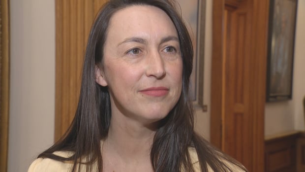 N.B. tourism minister targets Quebec, Ontario, New England with new 5