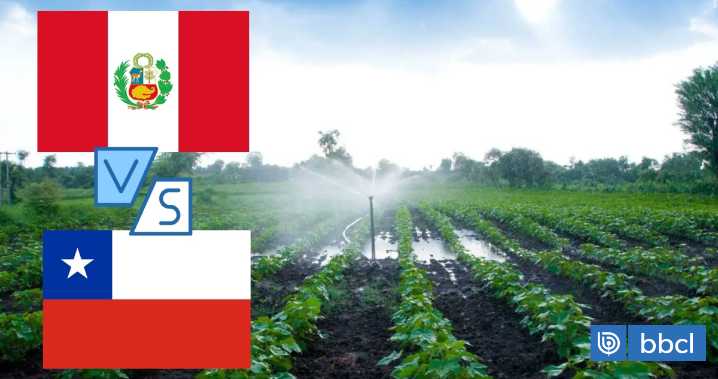 Perú y Chile: dos modelos de éxito agroexportador, pero uno saca ventajas, según nuevas cifras