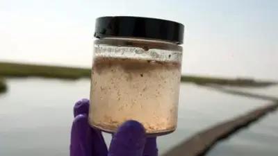 Agua con arsénico: los riesgos de la exposición prolongada en Argentina