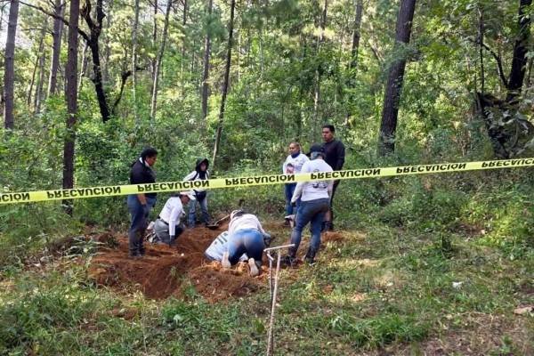 Hallan 4 cuerpos en predio ligado a diputado de Michoacán