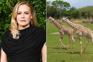 Alicia Silverstone Offers $50,000 Reward for Missing Baby Giraffes