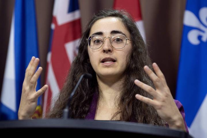 Women's groups criticize Liberals over delay of key firearms measure