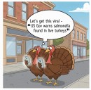 Cartoon Sketchbook: Turkey Day