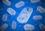 UCB Drug Becomes First FDA-Approved Treatment for Ultra-Rare and Fatal Mitochondrial Disease