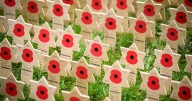 Remembrance Sunday 2025: Everything you need to know about Peterborough events