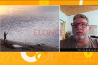 “Por la bajante prolongada del río Paraná, los peces no se están reproduciendo”