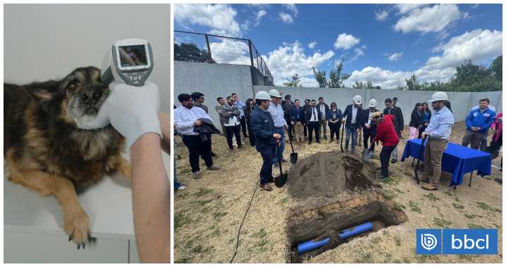 Gobierno anuncia fondos del Royalty Minero para la construcción de un centro veterinario en Bío Bío