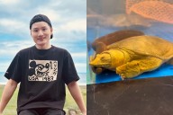 “Es muy común en China”: Yuhui Lee desata la polémica tras comprar tortuga viva para cocinarla