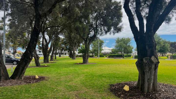 Avenue of Honour completed in time for Remembrance Day at City of Mandurah War Memorial