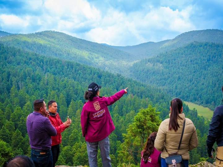 Tlalpan combate tala de forma positiva con desmantelamiento de aserraderos