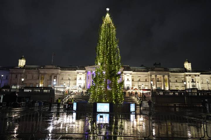 Why is Trafalgar Square’s Christmas Tree sent from Norway and when will it be lit?