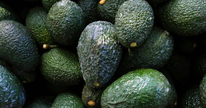 Want to grow an avocado tree from seed? Here's how |