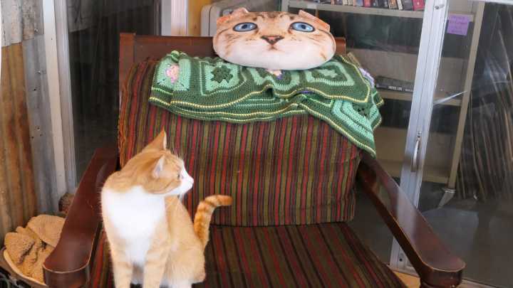 What is the meaning of Small Business Saturday? Reno shops answer