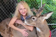Grandma Mauled to Death by Deer She Rescued