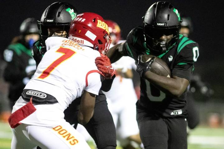 Lincoln coach 'shocked' after Hornets left out of Open Division playoff bracket