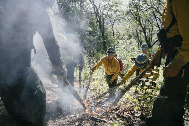 ‘Good Fire: Tending Native Lands’ Burns Bright at OMCA