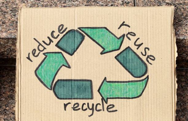 2024 Municipal Solid Waste Report show some interesting numbers