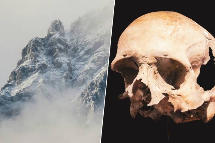 Han metido un endoscopio en la nariz de un neandertal incrustado en una cueva: el objetivo es saber cómo desaparecieron