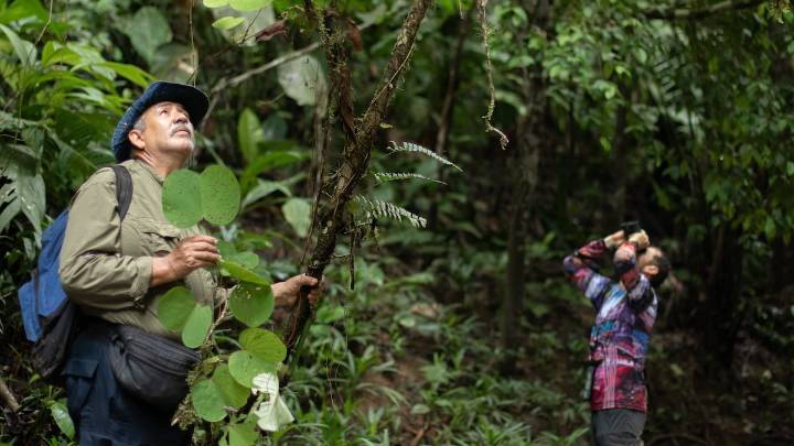 Una expedición científica disecciona el Darién: así se hace inventario del corazón de la selva
