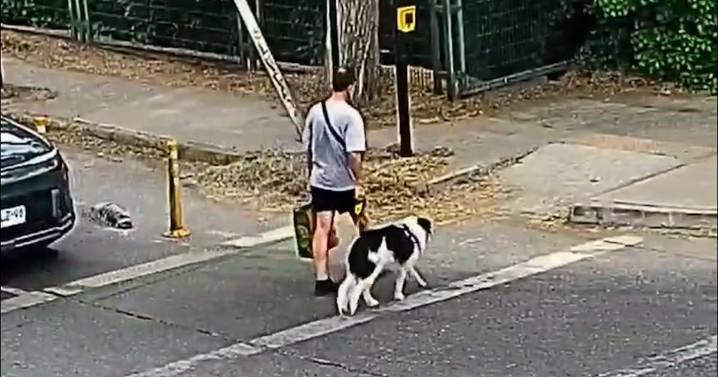 Cámaras registran al sospechoso del asesinato del fotógrafo de La Reina