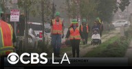 Volunteers beautify South LA with tree planting
