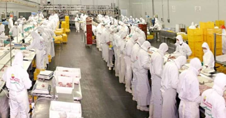 Una gigante avícola cerró una planta en Entre Ríos para bajar costos en plena crisis del sector