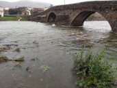 Fotonoticia. El Tormes mesura su fuerza en Barco de Ávila