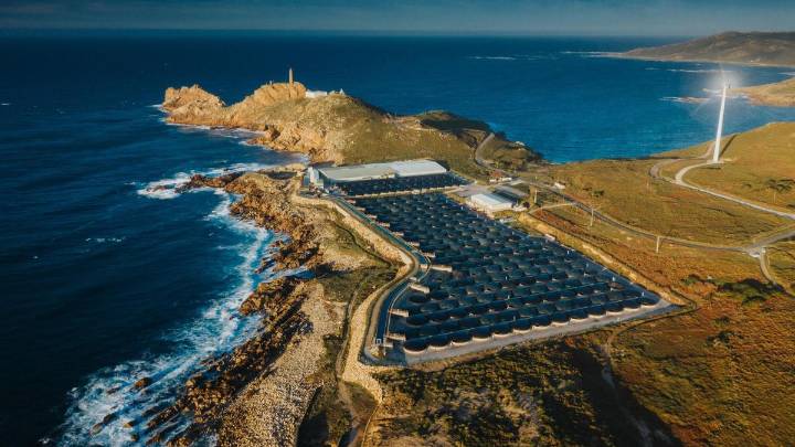 Disfrutar del pescado hoy y garantizarlo para siempre gracias a la acuicultura española y valenciana