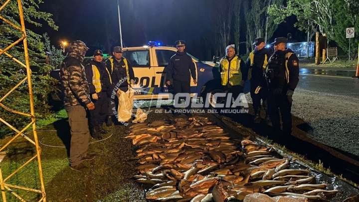 Pesca ilegal: secuestraron 170 truchas en un control en la Ruta 40