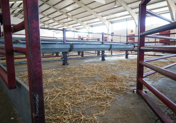 Los tratantes ven precipitado abrir el lunes el mercado y piden un criterio nacional único ante la dermatosis