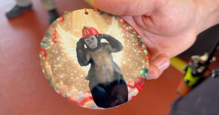 Florida firefighters praised for efforts to save pet monkey