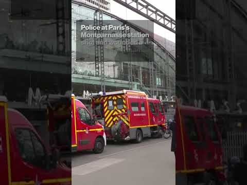 Knife-Wielding Man Shot by Police Inside Busy Paris Train Station #shorts