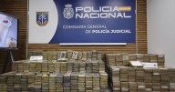 Desmantelan en España ‘oficina’ del CJNG; detienen a 20