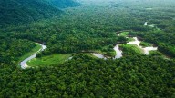 Unesco: Venezuela entre las 10 reservas de biosfera mundial