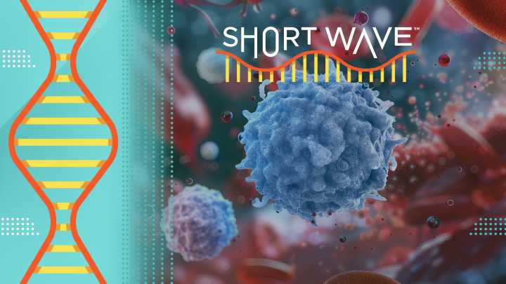 How an immune health test could stop disease before its starts : Short Wave : NPR