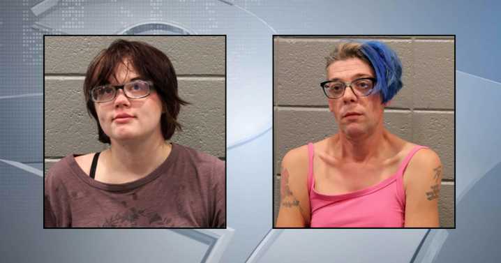 Man linked to 'Slender Man' attacker explains why they fled Madison together