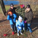 Holiday trees to twinkle in the Putnam County seat