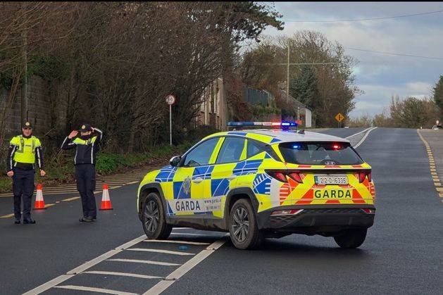 Two men killed in multi-vehicle in Meath crash are named locally