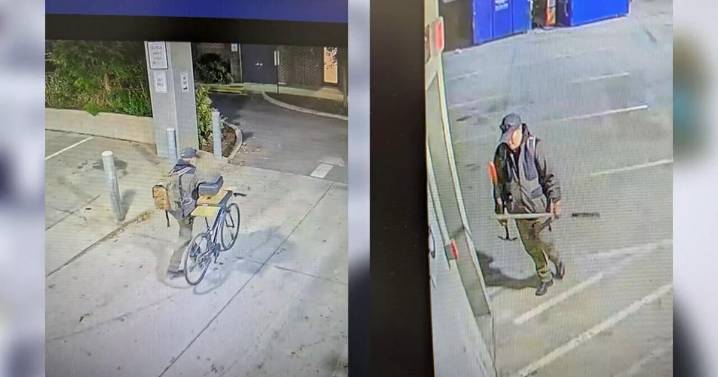 Crime Stoppers: Police looking for tool thief on bicycle