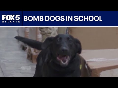 School district hires more bomb