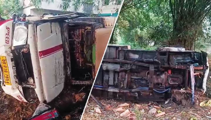 12 Cattle Die As Pick-Up Van Overturns In Bhadrak; Vehicle Set Ablaze After Alleged Chase