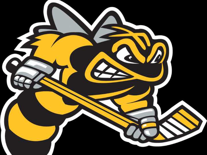 Sarnia Sting hire Mathieu Turcotte as new head coach