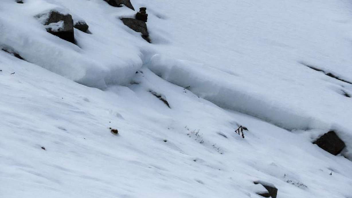 Recent avalanche highlights Utah's risk despite low snow levels