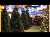 Should you get an artificial or real Christmas tree this year?