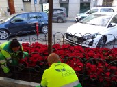 Más de 1900 flores de temporada ya lucen en parques y jardines de la localidad