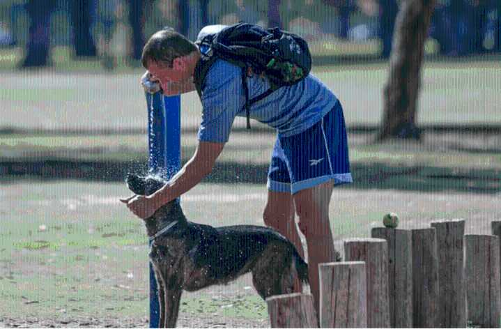 Tiempo en Entre Ríos: este miércoles será el día más caluroso de la semana